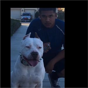 Meet your Posher, Jorge